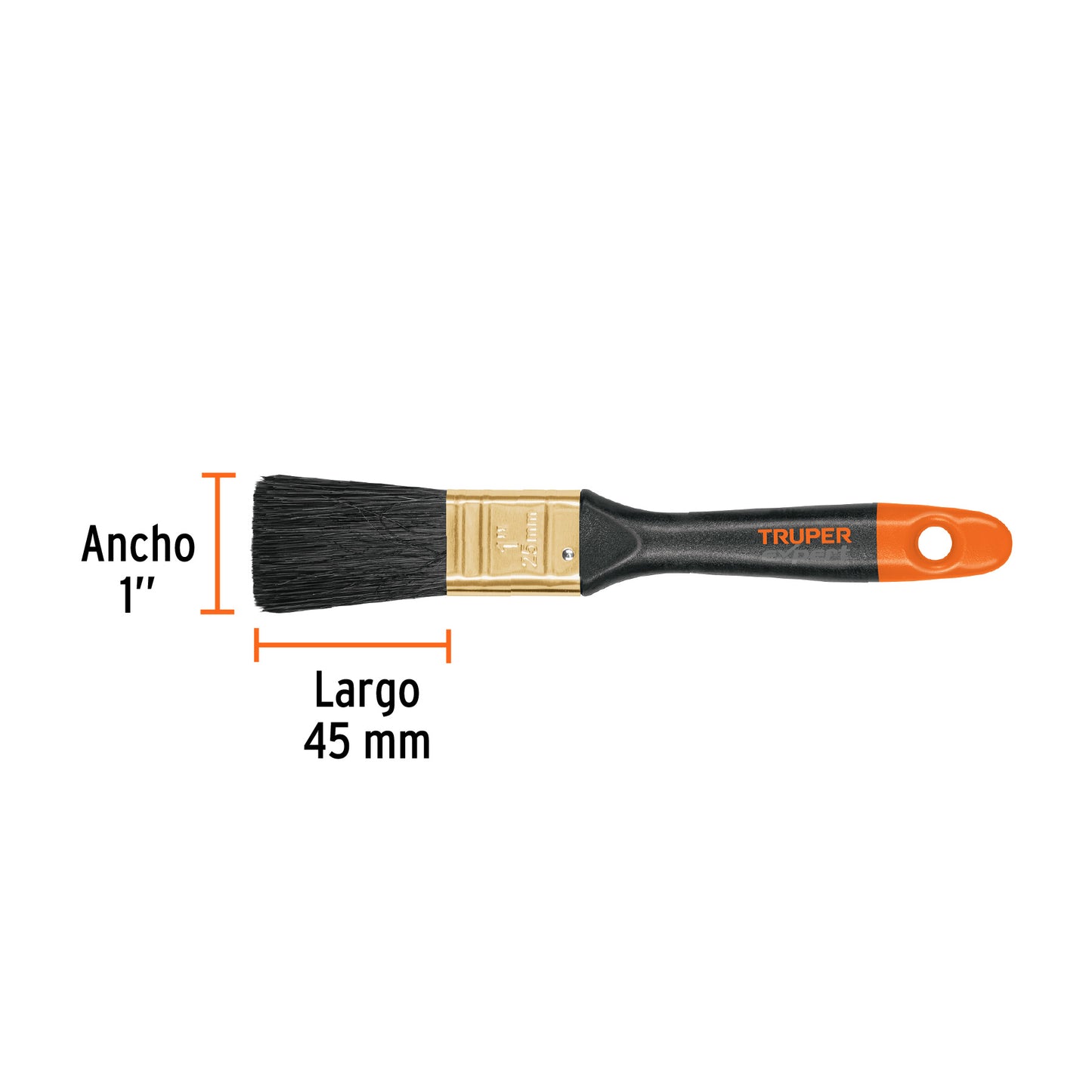 Brocha profesional de 1" mango de plástico, Truper Expert
