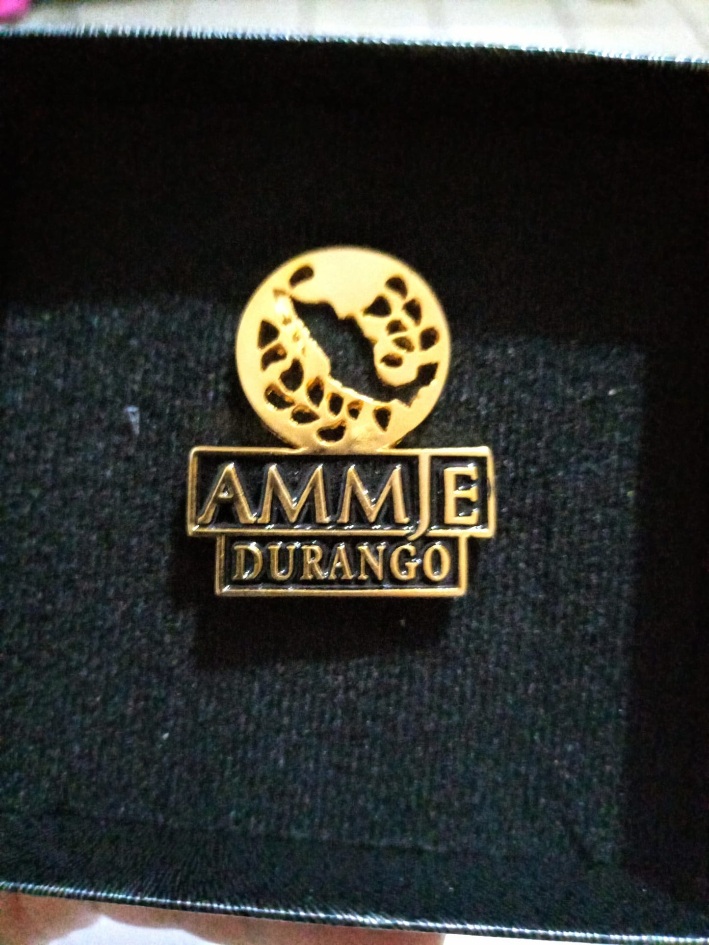 ASOCIACION MUJERES EMPRESARIAS AMMJE VER MAS...